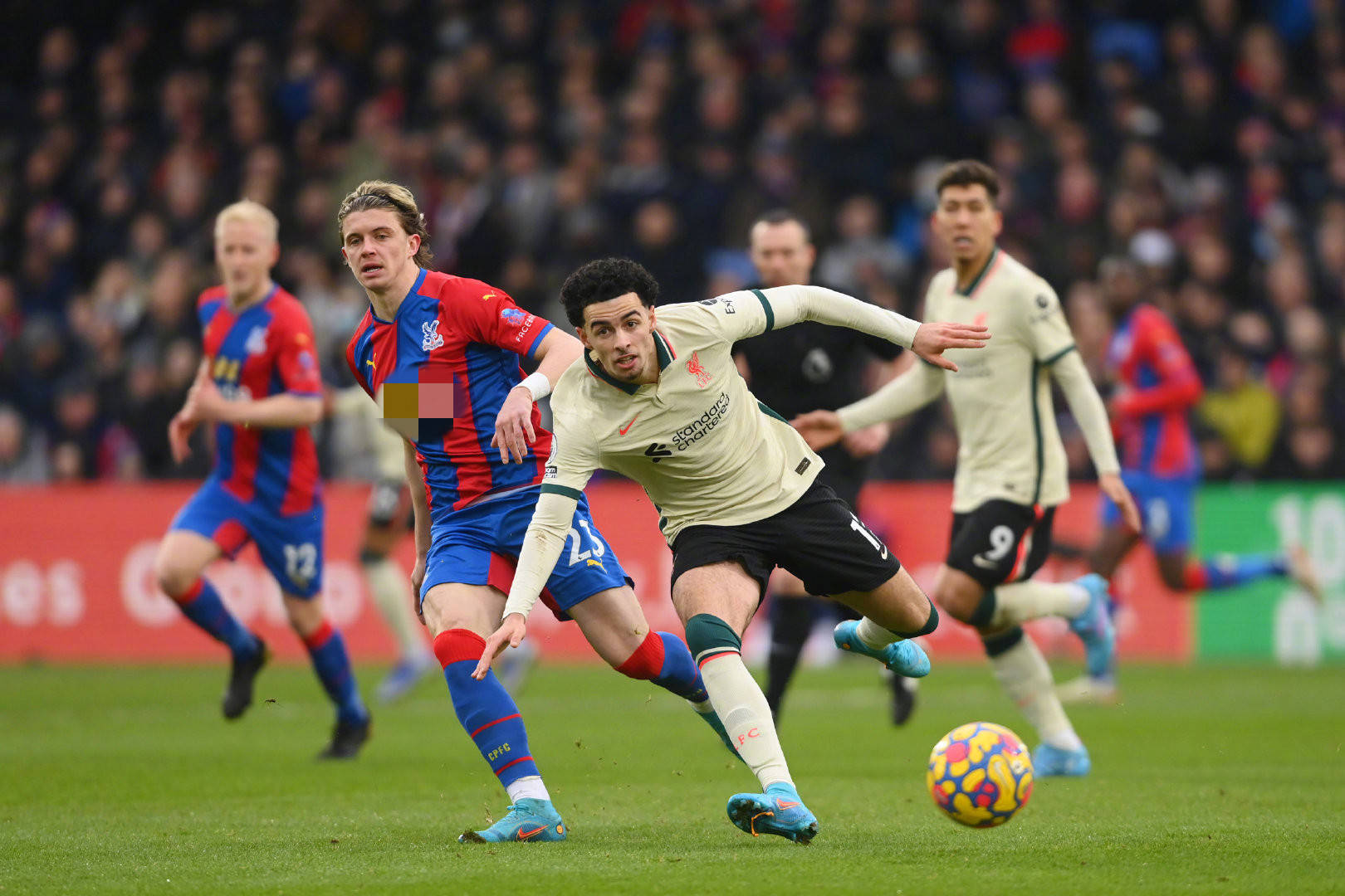 总而言之 总而言之